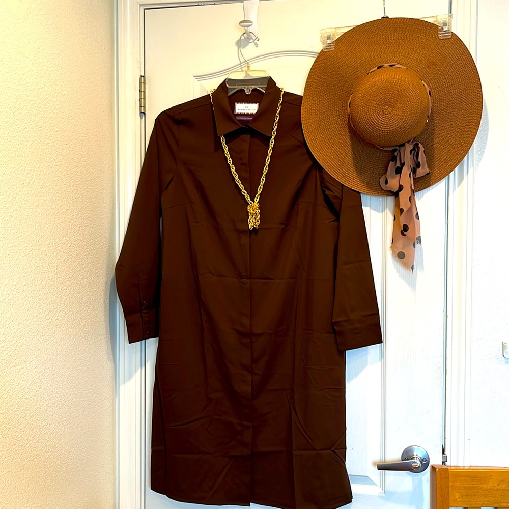 Modern Ambition (Delightfully Technical) Classic Shirt Dress